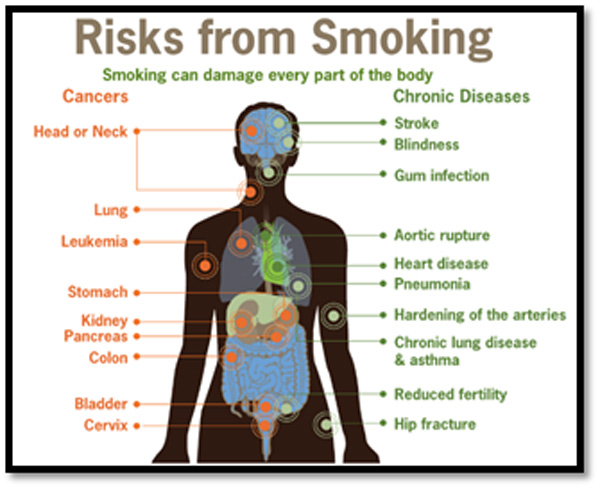 Harmful Effects of Cigarette Smoking | AIHMS Blog